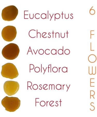 Honey Avocado Flower 100% Raw Pure Spanish Natural Unpasteurised Fresh Certified Avocado Flower Honey 1 Kg - Buy Online on SooperMarket.com