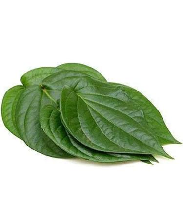 Seelans Fresh Betel Leaves | Beetle Leaves 10pcs | Pan Leaves | Leaf Betel | Fresh Leaf | Used for Pooja & Edible | Indian Origin | Approx 50G Next Day Shipping