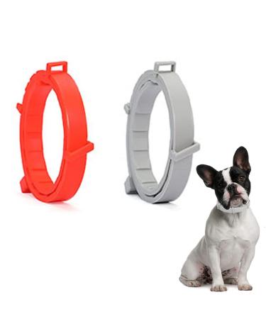 Syang Teck neck band for dogs and cats 2 pieces of shining prevention collar against parasites with up to 8-month protection fluorescent collar universally adjustable red+gray