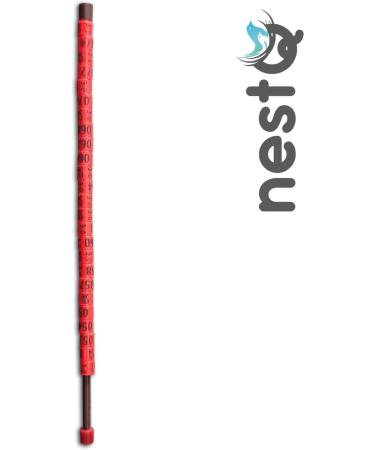 NestQ Rings Canary 2024 Federative Red Polychrome Laser Engraved Closed 3mm Numbered with Year Marked 1 Strip 25 Rings - Buy Online on SooperMarket.com