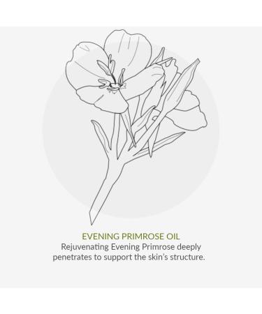 Green People Perfume-Free Eye Cream 10ml | Organic Anti-Aging Moisturizer for Sensitive Skin | Vegan & Paraben-Free | Gentle Eye Care - Buy Online on SooperMarket.com