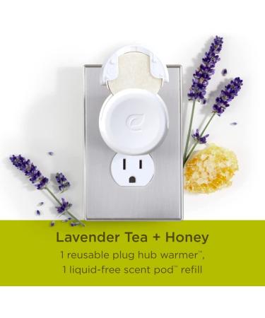 Enviroscent Non-Toxic Plug-in Air Freshener Kit (Lavender Tea + Honey) | Essential Oil Infused | 2-Piece Set - Buy Online on SooperMarket.com
