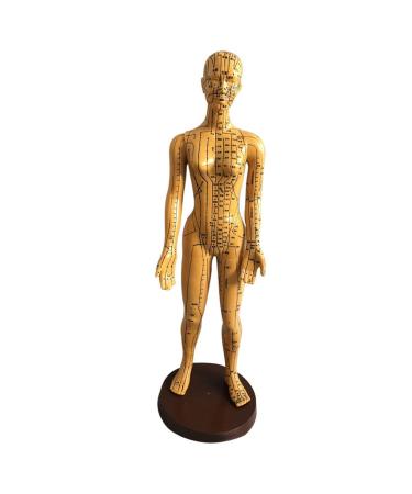 Education Model Toy Model Anatomy Professional Medical Acupuncture Female 48cm 19"