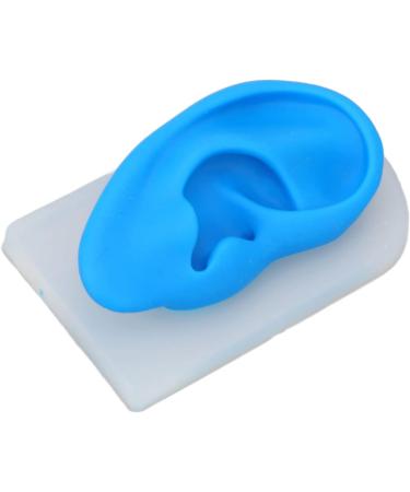 Flexible Silicone Ear Model for Hearing Amplifier Display - Professional Student Tool - Buy Online on SooperMarket.com