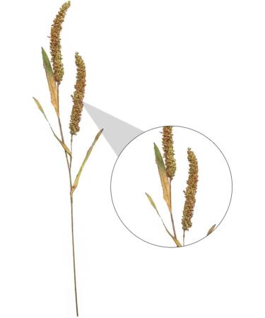 Zerodeko 3pcs Simulated Ears of Corn Plant Decor Dried Wheat Stalks Artificial Wheat Ears Artificial Grasses Bundle Fake Wheat Ears Simulation Wheat Ears Dried Millet Household Iron Straw Greenx3pcs 12X75CMx3pcs - Buy Online on SooperMarket.com