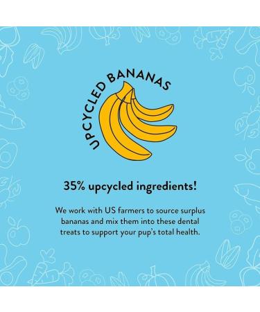 Shameless Pets Banana Bone-Anza Dental Stick Dog Treat 204 g Banana/Bone Broth/Mint - 204 g Dental Stick - Buy Online on SooperMarket.com