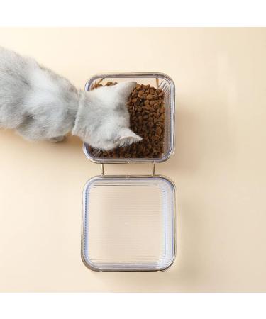 HOHXFYP Elevated Cat Bowls 15 Degree Tilt Stable Raised Cat Food Water Bowl Easily Removable Transparent Cat Bowls with Raised Bowl Bottom for Cats Dogs(S-Gold) Small Gold - Buy Online on SooperMarket.com