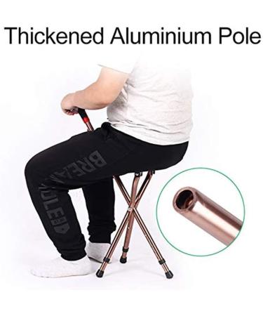 Walking Stick Seat Folding Stool Switch Sticks Three Legged Seat Stick Height Adjustable Aluminum Alloy 5 Gear Adjustment Static Loading 200Kg for Elder Parents Gift - Buy Online on SooperMarket.com