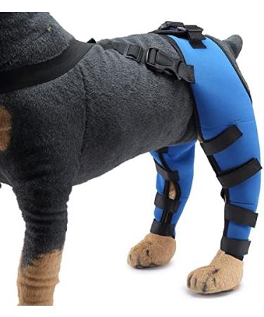 Pet Dog Knee Brace ACL Brace for Dogs Rear Leg Dog Braces for Back Leg for Support for Heals Prevents Injuries Sprains Blue Small Small Blue - Buy Online on SooperMarket.com