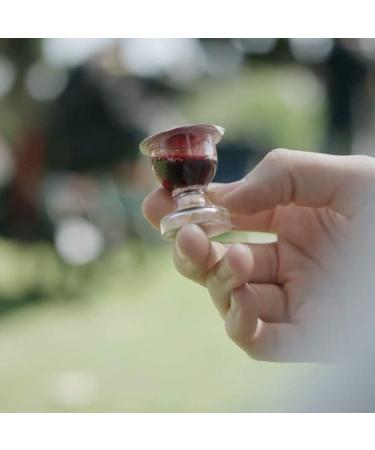 TrueVine Chalice Prefilled Communion Cups and Wafer Set - 1000 Count Pack - Easy-Open Communion with Bread & Juice - Fresh and Convenient for Your Service - Buy Online on SooperMarket.com