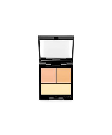 PERFECTIONNISTE CONCEALER PALETTE_3