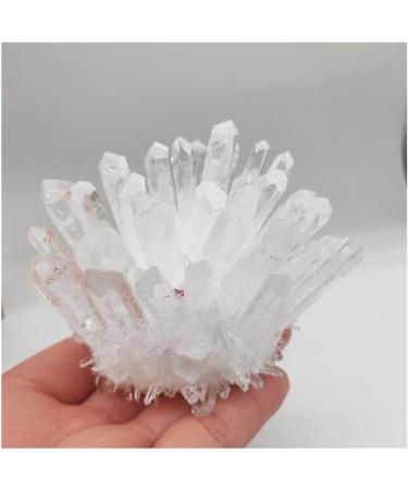 Home Decor 1pcs Natural Raw Quartz White Clear Crystal Cluster Stones Crystal Point Specimen Home Decoration Raw Crystals Mi Soothing Crystal Household Crystal Cluster (Size : 600-700g) - Buy Online on SooperMarket.com