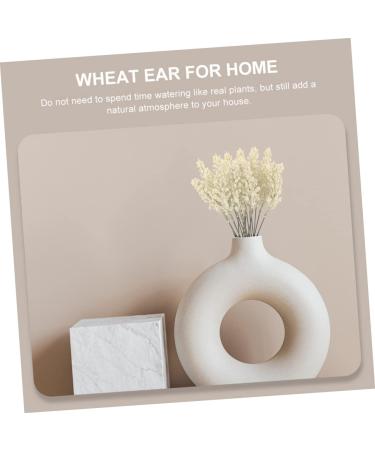 Amosfun 24pcs Wheat Ear Flower Silk Flower Office Decore Window Trim Decor for Living Room Fake Wheat Ear Wheat Decoration Natural Decorate Artificial Flower Straw Flower Arrangement Beige 30X1.5CM - Buy Online on SooperMarket.com