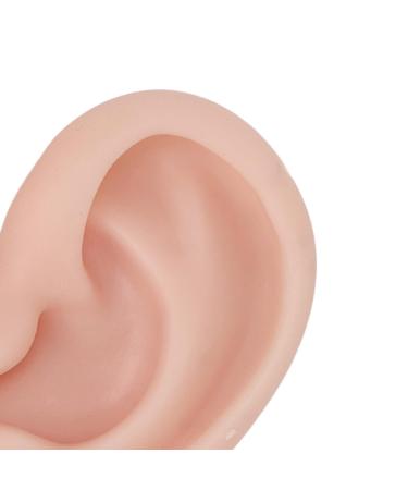 Silicone Ear Model - Medium Skin Color for Earrings Display and Piercing Practice - Buy Online on SooperMarket.com