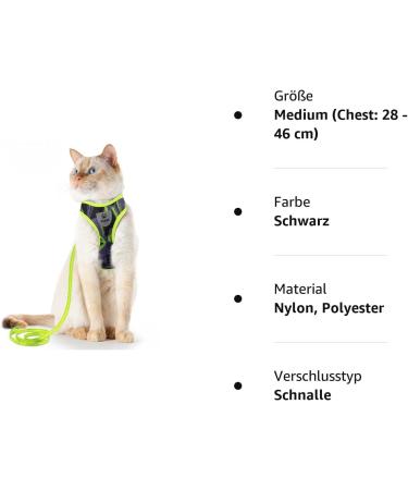 Supet Cat Dishes & Line Set - Perfect Feeding Solution for Kittens | International Shipping Available - Buy Online on SooperMarket.com