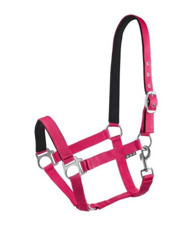 Start Economic Lined Halter for Horses Third -in -Later Pony - Stallhalter with two -stage adjustment - chin and neck piece - pasture horse halter halter warmth -blooded neoprene -fed (raspberry full) full (warm blood) raspberry