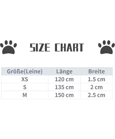 Lionet Paws Dog Leash - Stylish Silk Leash for Small Medium & Large Dogs | Matching Collars Available | Blue XS Leash (Pack of 1) - Buy Online on SooperMarket.com