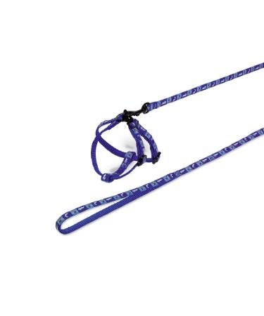 Nobby set nylon rabbit "Carrot" blue