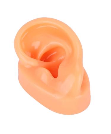 Simulation Display Silicone Left Ear Model Human Ear Anatomy Model Professional Ear Simulation Model Simulation Artificial Human Acupuncture Practice Model for Hospital Hearing Aids