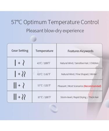 Faszin Professional Ionic Hair Dryer with AC Motor, Triple-L Plus Heat Technology & 7 Drying Modes - Gray | Ideal for Women and Men - Buy Online on SooperMarket.com