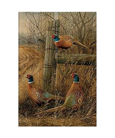 DIY Diamond Painting Kits Pheasants Chicken 5D Gems Art Paint with Full Drill Round Diamond by Number Kits for Adults and Kids Crystal Cross Stitch for Home Wall Decoration 30x40cm