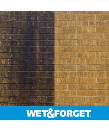 Buy Wet & Forget Moss & Mold Remover - Multi-Surface Outdoor Cleaner Concentrate (64 oz 2 Pack) - Effective Algae Stain Solution | Fast International Shipping - Buy Online on SooperMarket.com