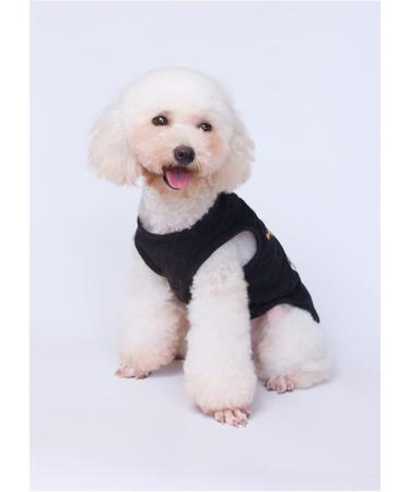 3-Pack Printed Dog Clothing - Princess & Prince T-Shirts for Small to Medium Dogs | Cute Pet Costumes (Blue XL) - Buy Online on SooperMarket.com