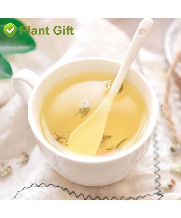 Buy Apple Blossom Flower Tea 50g - Dried Apple Flower Health Tea for Anti-Acne & Freckles - International Shipping Available - Buy Online on SooperMarket.com