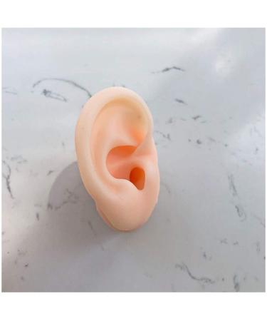 Ear Model - Soft Silicon Silicone Simulation Model of Acupuncture Ear Ear Picking Practice The Studs Earring Display Props - Buy Online on SooperMarket.com