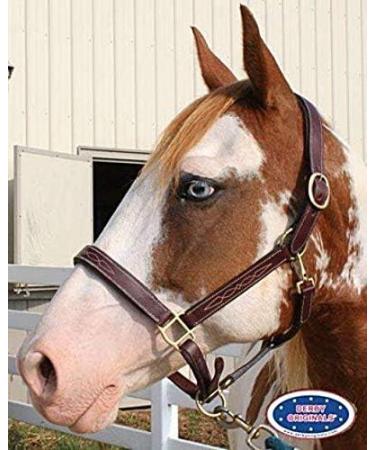 Derby Originals Liverpool Padded Leather Horse Halter - Cob/Arabian Size - Buy Online on SooperMarket.com