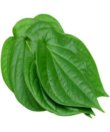 Fresh Betel Leaves | Beetle Leaves Approx.10Pieces | Pan Leaves | Leaf Betel | Fresh Leaf | Used for Pooja & Edible | Indian Origin | Approx 50G - Buy Online on SooperMarket.com