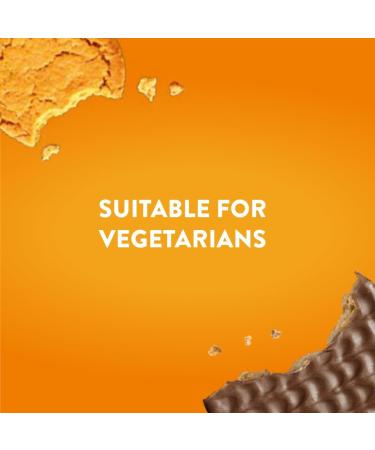 McVitie's Ginger Nuts Biscuits 250 g (24 Pack) - Buy Online on SooperMarket.com