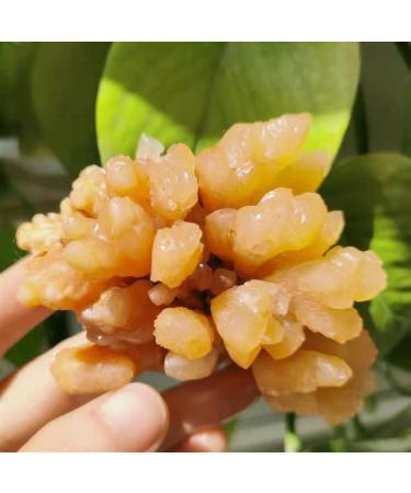 1pc Natural Crystal Raw Stone Cluster is a Textured Raw Stone Home Aquarium Suitable for Home HOMEZHOU (Size : 500-540g)