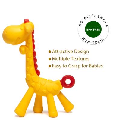 HONGTEYA Teething Toys for Babies 0-12 Months - 6 Pack BPA Free Silicone Teethers and Fruit Feeders Set (Pink) - Buy Online on SooperMarket.com