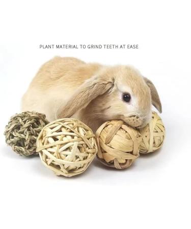 Camiter 9-Piece Chewing Toy Set for Small Animals | Hamsters Rabbits Guinea Pigs & More - Durable Chew Cases & Cube Toys - Buy Online on SooperMarket.com