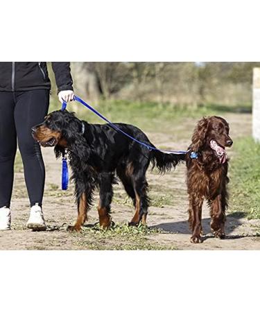 Police style dog training lead 6ft Multiple colours (Blue) - Buy Online on SooperMarket.com