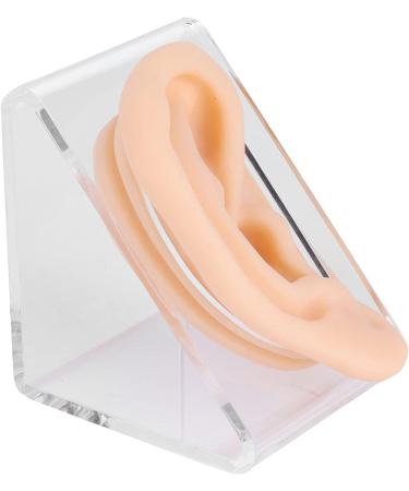 Silicone Ear Model for Acupuncture Practice | Realistic Fake Ear with Presentation Stand - International Shipping Available - Buy Online on SooperMarket.com