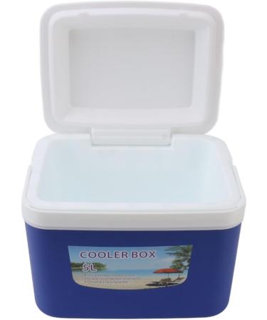 Insulin Cooler Box 5L Portable Insulin Cooling Travel Bin for Outdoor Medicition Food (Blue) - Buy Online on SooperMarket.com
