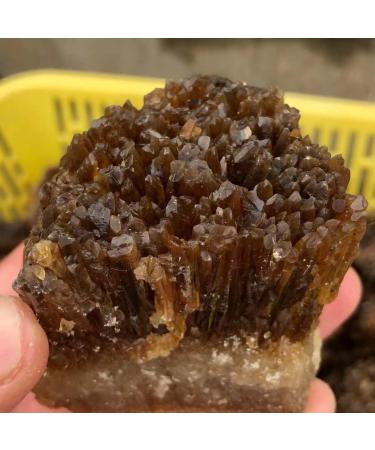 Crystal Natural Yellow Amber Calcite Rough Crystal Stone Collection Rough Rock Specimen Home Decor (Size : 60-100g) - Buy Online on SooperMarket.com