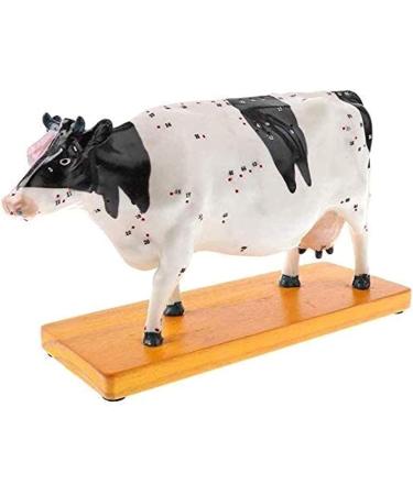 Acupuncture and Moxibustion Model Anatomy Animal Niuniu Diagram Traditional Teaching Organ