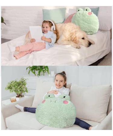 DXDE4U Frog Plush Pillow - 15 * 14 inch Stuffed Animal Hugging Pillow Toy for Kids & Adults - Cute Home Decoration & Gift Idea - Buy Online on SooperMarket.com