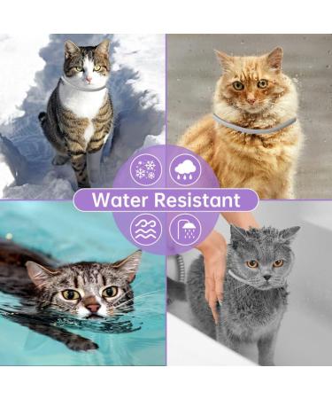 WEALLIN 2PC Grey Cats Repellent Collars - Strong and Long-Lasting Deterrence, Water-Resistant & Adjustable - Buy Online on SooperMarket.com