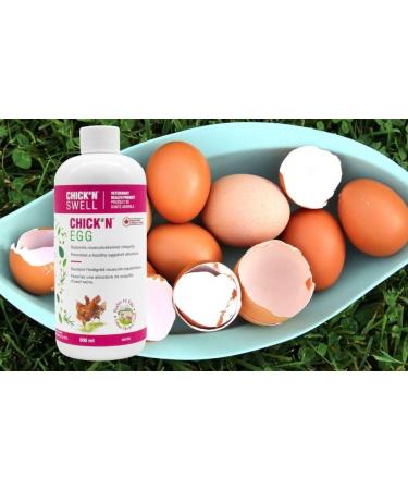 Premium Poultry Calcium Supplement for Bone Health & Egg Production-Chick N Egg from Chick N Swell Brand- for All Poultry. 500 ml- Makes 300 liters. - Buy Online on SooperMarket.com