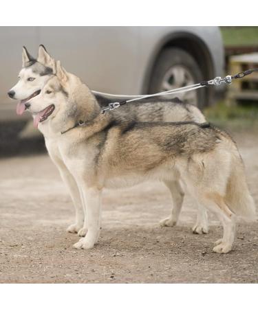 EXPAWLORER Chew Proof Retractable Dog Lead - Dual Extendable Reflective Lead for 2 Dogs, 5M Heavy Duty Double Lead for Small, Medium & Large Dogs - Buy Online on SooperMarket.com