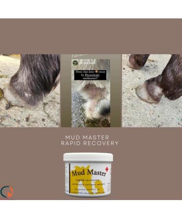 Mud Master 650 g by Horse Leads beat mud fever - Buy Online on SooperMarket.com