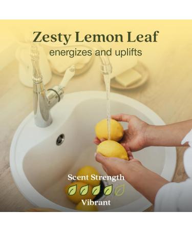 Enviroscent Non-Toxic Air Freshener - Lemon Leaf & Thyme Plug-In | 45+ Days of Home Fragrance | Refillable Essential Oil Set - Buy Online on SooperMarket.com