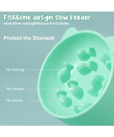Heyu-Lotus Raised Cat Bowl Cat Bowls with Stand Tilted Elevated Cat Slow Feeder Cat Food Bowls Ergonomic Cat Feeding Bowls Cat Food Water Bowl Cat Dishes Raised Cat Feeder - Buy Online on SooperMarket.com