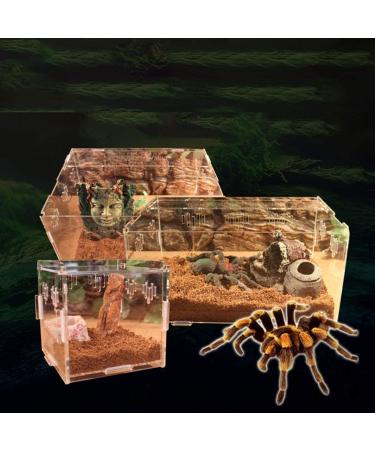 OMEM Transparent Acrylic Pet Reptile Combination Breeding Box - Ideal for Spiders, Scorpions, Snakes - Durable & Spacious - Buy Online on SooperMarket.com