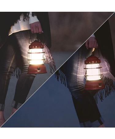 20 Pieces Lanterns Mantles Gas Lamp Mantles Gas Lantern Mantles Propane Lantern Mantles U Shape Mantles for Propane Lantern Propane Lantern Mantles Gas Lantern Covers Mantles for Lantern 1 Layer - Buy Online on SooperMarket.com