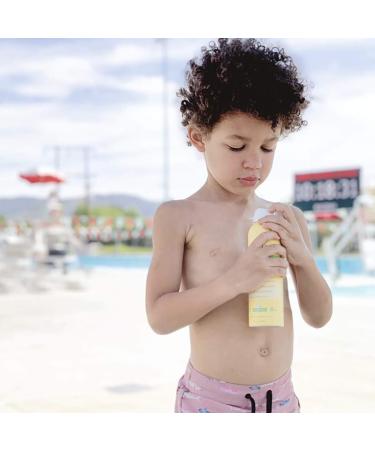 Babo Botanicals Sheer Zinc SPF 30 Continuous Spray Sunscreen - 100% Mineral, Unscented (12 Fl Oz, Pack of 2) - Buy Online on SooperMarket.com